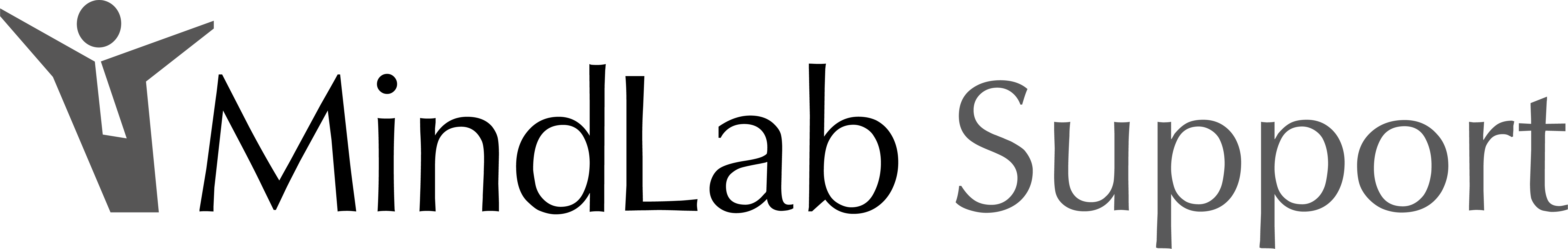 MindLab Suppport